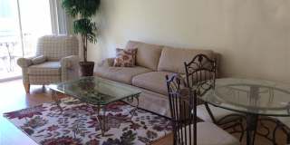 9175 Celeste DR 9175 Celeste DR Photo Gallery 1