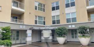 2001 McAllister Street, Unit# B325 2001 McAllister Street, Unit# B325 Photo Gallery 1