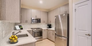 Aspen Regency Aspen Regency Photo Gallery 1