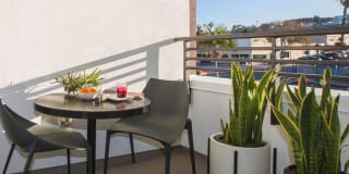 AV8 AV8 Photo Gallery 1