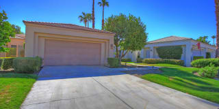 54838 Oak Tree 54838 Oak Tree Photo Gallery 1