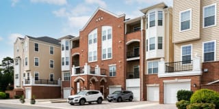 8608 WANDERING FOX TRAIL 8608 WANDERING FOX TRAIL Photo Gallery 1