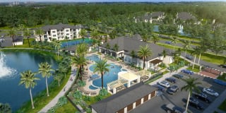 Town Treeline Town Treeline Photo Gallery 1