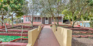 401 N Wild Olive Avenue 401 N Wild Olive Avenue Photo Gallery 1