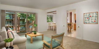 Whitehall Square Apartments Whitehall Square Apartments Photo Gallery 1