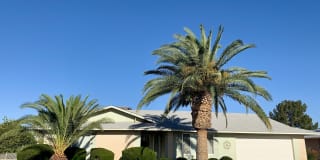 18227 N ALYSSUM Drive 18227 N ALYSSUM Drive Photo Gallery 1