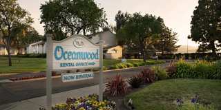Oceanwood Apartments Oceanwood Apartments Photo Gallery 1