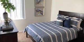 Midtown on Seneca Midtown on Seneca Photo Gallery 1