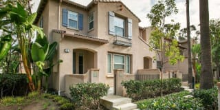 90 Hedge Bloom 90 Hedge Bloom Photo Gallery 1