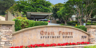 Elán Quail Pointe Apartment Homes Elán Quail Pointe Apartment Homes Photo Gallery 1