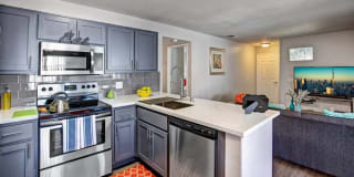 Martinique Bay Apartments Martinique Bay Apartments Photo Gallery 1