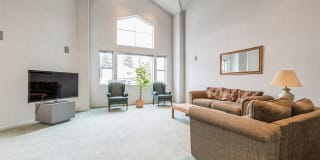 Renew on Summerfield Renew on Summerfield Photo Gallery 1