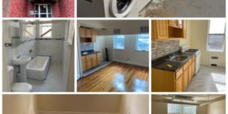 356 Stuyvesant Ave B2 356 Stuyvesant Ave B2 Photo Gallery 1