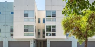 131 Tribeca Way 131 Tribeca Way Photo Gallery 1
