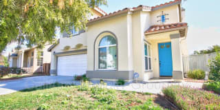 33626 Delphinium Lane 33626 Delphinium Lane Photo Gallery 1