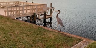 4509 RICKOVER COURT 4509 RICKOVER COURT Photo Gallery 1