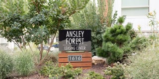 Ansley Forest Ansley Forest Photo Gallery 1