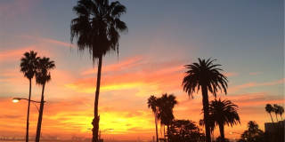 2601 E OCEAN BLVD. 2601 E OCEAN BLVD. Photo Gallery 1