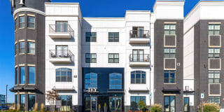 The Ivy The Ivy Photo Gallery 1