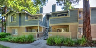 2705 Somerset Park Cir 2705 Somerset Park Cir Photo Gallery 1