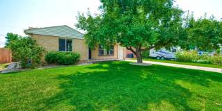 1440 South Eaton Street 1440 South Eaton Street Photo Gallery 1