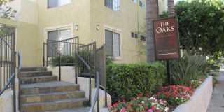 Oaks Oaks Photo Gallery 1