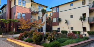 435 Sheridan Ave 435 Sheridan Ave Photo Gallery 1
