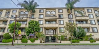 Rose Flower Condos Rose Flower Condos Photo Gallery 1