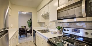 Timber Canyon Timber Canyon Photo Gallery 1
