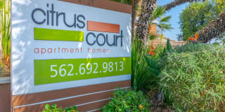 Citrus Court Apartments Citrus Court Apartments Photo Gallery 1