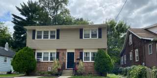 336 ALBANY AVENUE 336 ALBANY AVENUE Photo Gallery 1