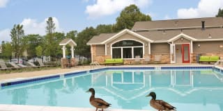 2821 Pheasant Hollow Dr 2821 Pheasant Hollow Dr Photo Gallery 1