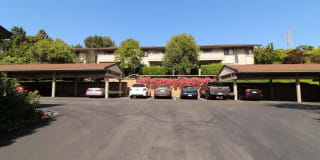 1403 Marchbanks Drive, Unit #4 1403 Marchbanks Drive, Unit #4 Photo Gallery 1