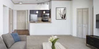 Camden Aventura Camden Aventura Photo Gallery 1