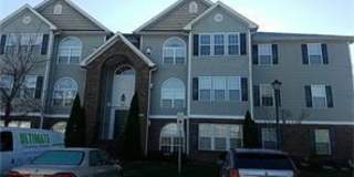 3491 #3C Forestdale dr 3491 #3C Forestdale dr Photo Gallery 1
