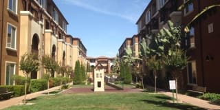 801 S. Winchester Blvd Unit 4202 801 S. Winchester Blvd Unit 4202 Photo Gallery 1