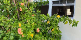 8500 Byron Avenue 8500 Byron Avenue Photo Gallery 1