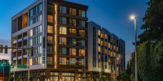 Aria Aria Photo Gallery 1
