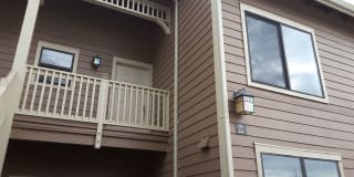 242 Shoreline Ct. 242 Shoreline Ct. Photo Gallery 1