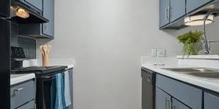 Distinction Distinction Photo Gallery 1