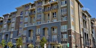 5501 DeMarcus Blvd #201 5501 DeMarcus Blvd #201 Photo Gallery 1