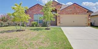 901 Ibis Falls LOOP 901 Ibis Falls LOOP Photo Gallery 1