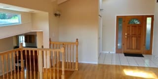 3542 Oak Knoll DR 3542 Oak Knoll DR Photo Gallery 1