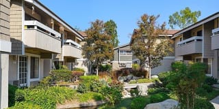 322 Streamwood 322 Streamwood Photo Gallery 1