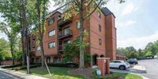 8 Russell Ave #209 8 Russell Ave #209 Photo Gallery 1