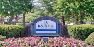 Polo Run Polo Run Photo Gallery 1