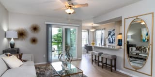 Vantage on Hillsborough Vantage on Hillsborough Photo Gallery 1