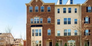 42101 PIEBALD SQ 42101 PIEBALD SQ Photo Gallery 1