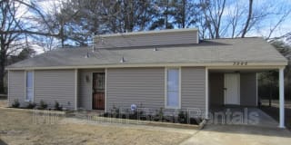 3946 Barberry Cv (Raleigh) 3946 Barberry Cv (Raleigh) Photo Gallery 1