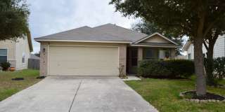 8718 Turtleback 8718 Turtleback Photo Gallery 1
